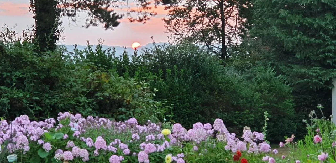 Crown Roads Bed and Breakfast Le Faouët